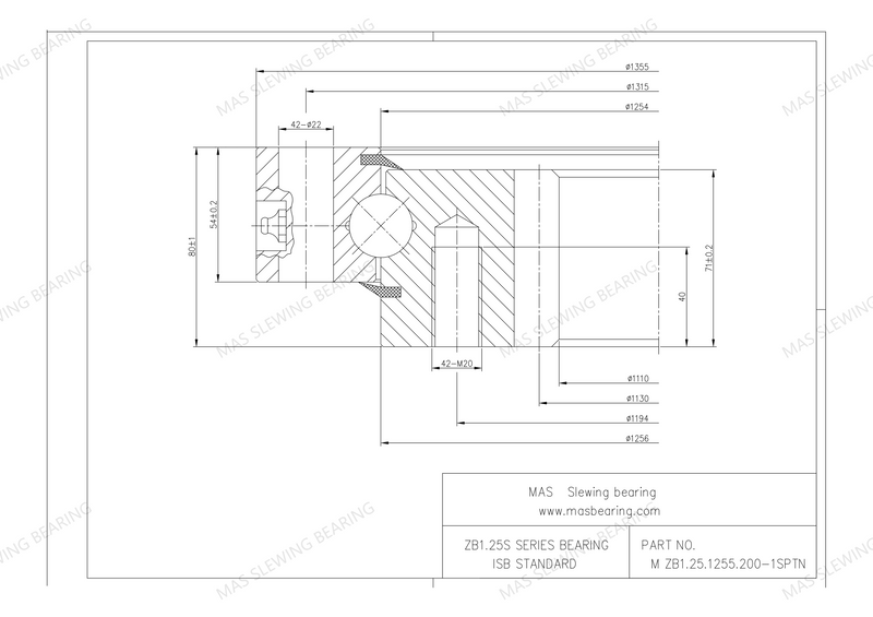 ZB1.25.1255.200-1SPTN