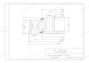 NB1.25.1155.201-2PPN