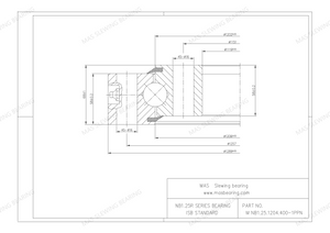 NB1.25.1204.400-1PPN